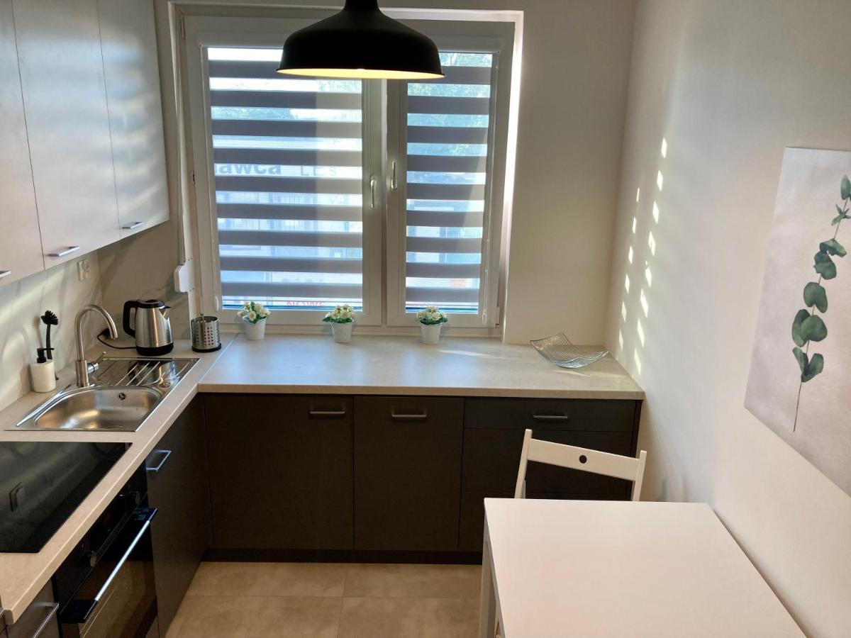 Apartament Lagiewniki 크라쿠프 외부 사진