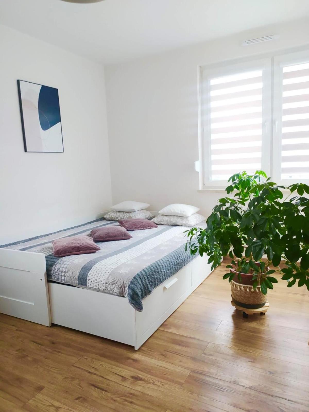 Apartament Lagiewniki 크라쿠프 외부 사진